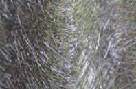 Gosland Green fibreglass roof work